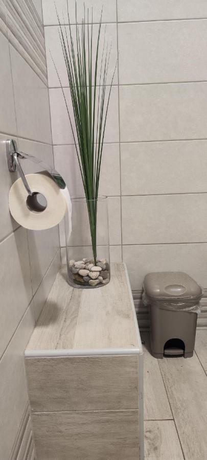 Apartment Damir بولا المظهر الخارجي الصورة
